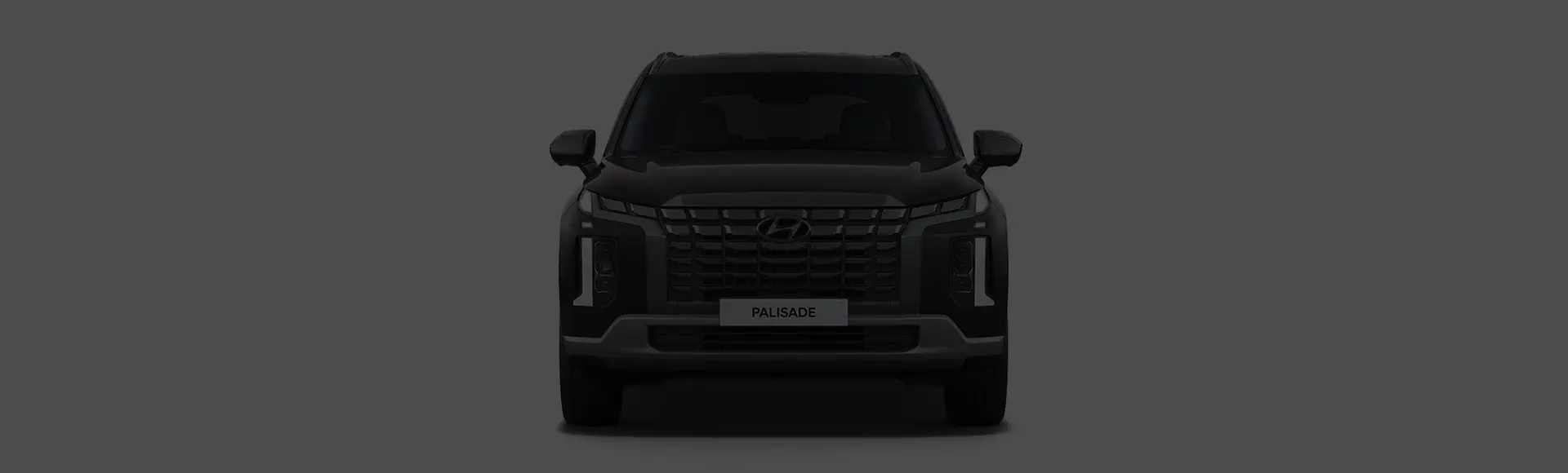 Palisade exterior front design