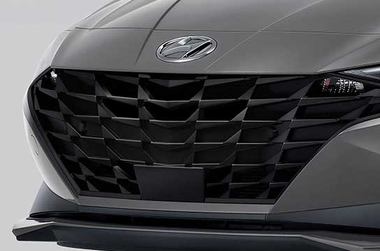 Black radiator grille