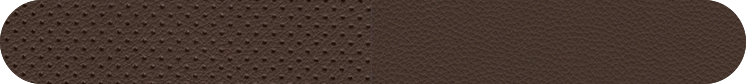 Santa Fe interiorColor Detail 3